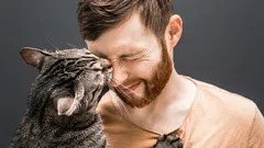 世界で最も甘えん坊な猫種トップ10:このかわいい猫たちは注目されるのが大好き