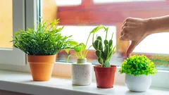 クラシックな植木鉢は過去のものに：2026年は、最もエレガントで美しい代替アイテムが主役に