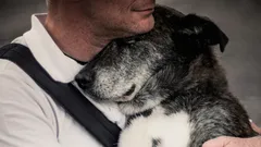 長い年月離れていても、犬は飼い主のことを覚えているの?