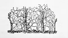 この画像で最初に見えた動物が、あなたの本質を明らかにします