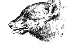 この錯視画像の中に人を見つけられますか？