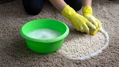 カーペットを新品同様に：賢く落としたい、よくある頑固なシミ6選